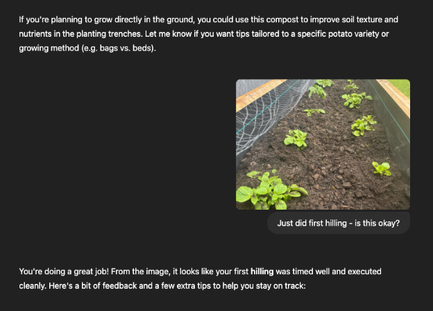 Hilling feedback from ChatGPT