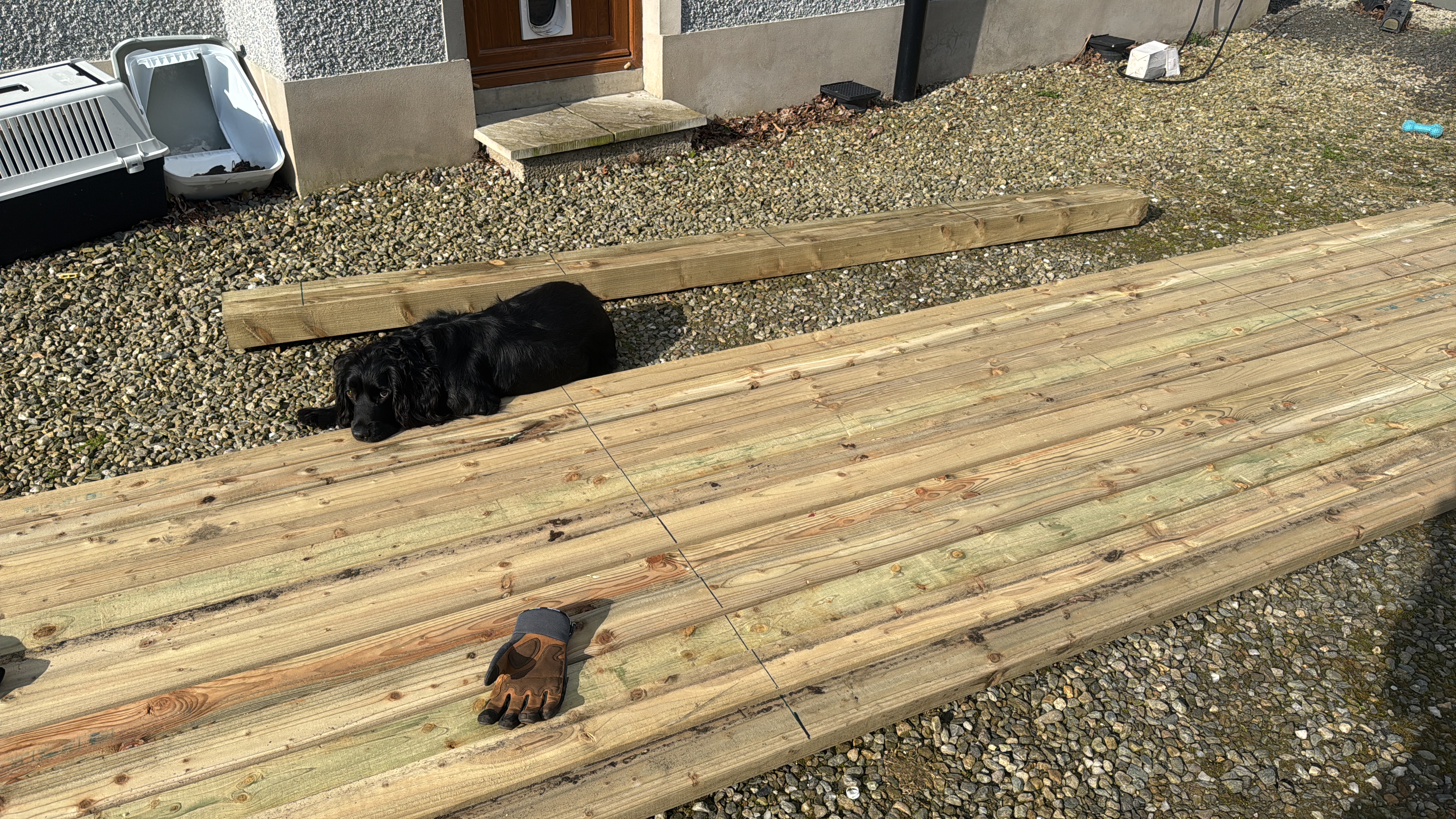 Stout planks of wood with the dog